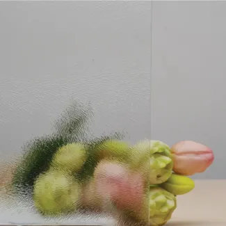 Fehér csincsilla (02)