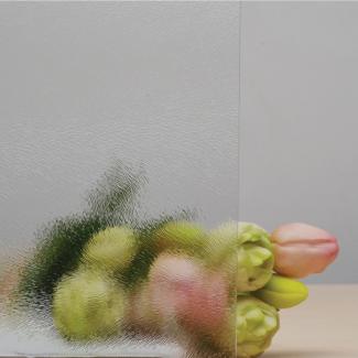 Fehér csincsilla (02)